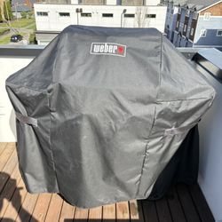 Weber Spirit II E-210 Gas Grill Package
