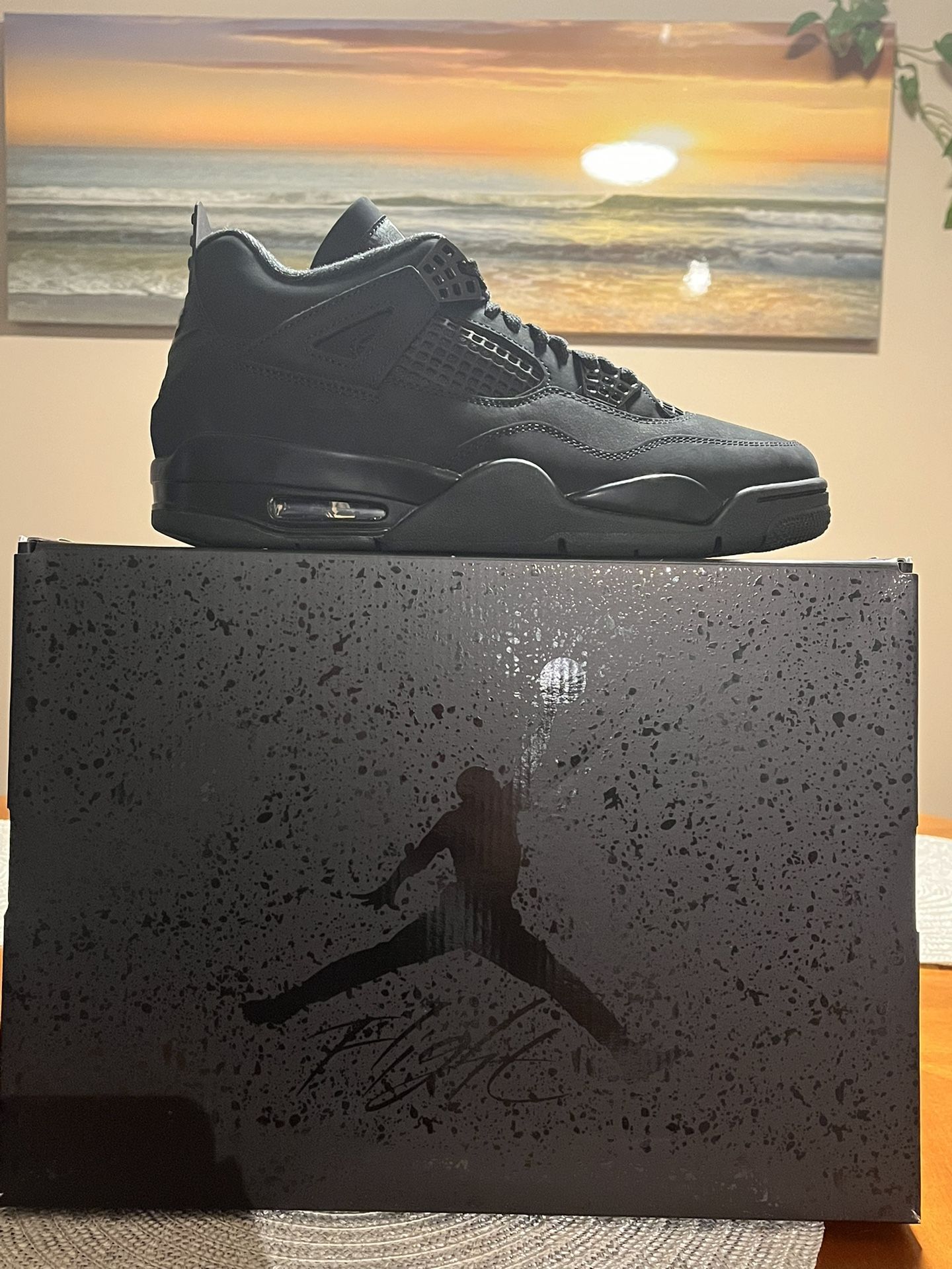 Jordan 4 Black Cat
