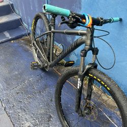 Specialized 29 C100 Conversion 