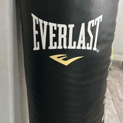 Punching Bag Gently Use Indoors