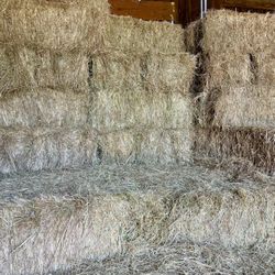 Grass Hay