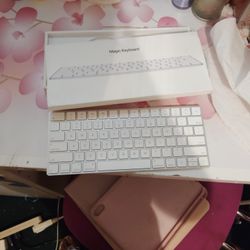 Magic Keyboard  Apple 