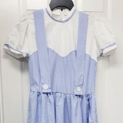Blue Gingham Check Dress L