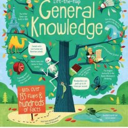NEW Kids Children Education Learning Flaps to lift General Knowledge Big Board Book Storybook 