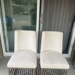2 Dining Chairs