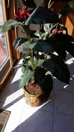 Beautiful artificial plant