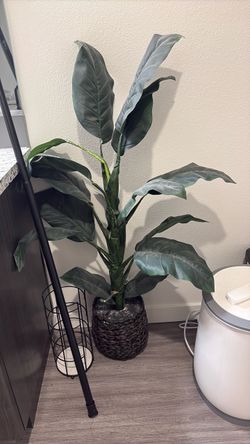 Free fake plant