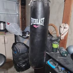 Everlast Punch Bag 40 Pounds