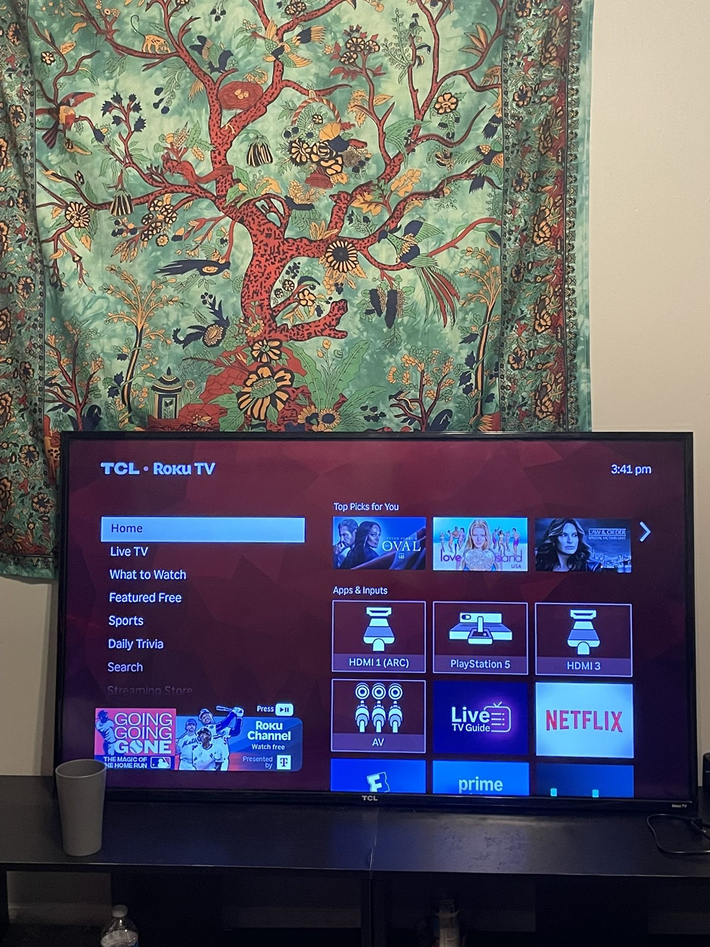 55’ Inch Roku Tv