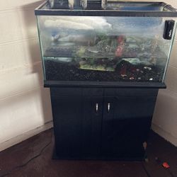 30 Gallon Tank  