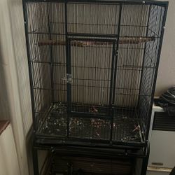 50 For Bird Cage With Stand