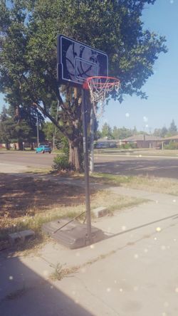 Basketball court