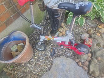 Clown bike