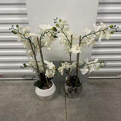 White & Silver Orchid Floral Arrangements 
