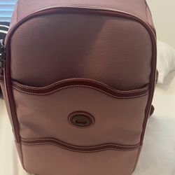 Delsey Paris Backpack 