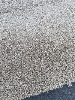 Light Brown Carpet