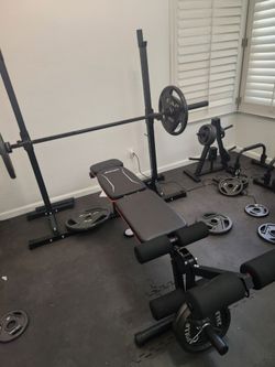 Bench with legs workout and preacher curls just bench