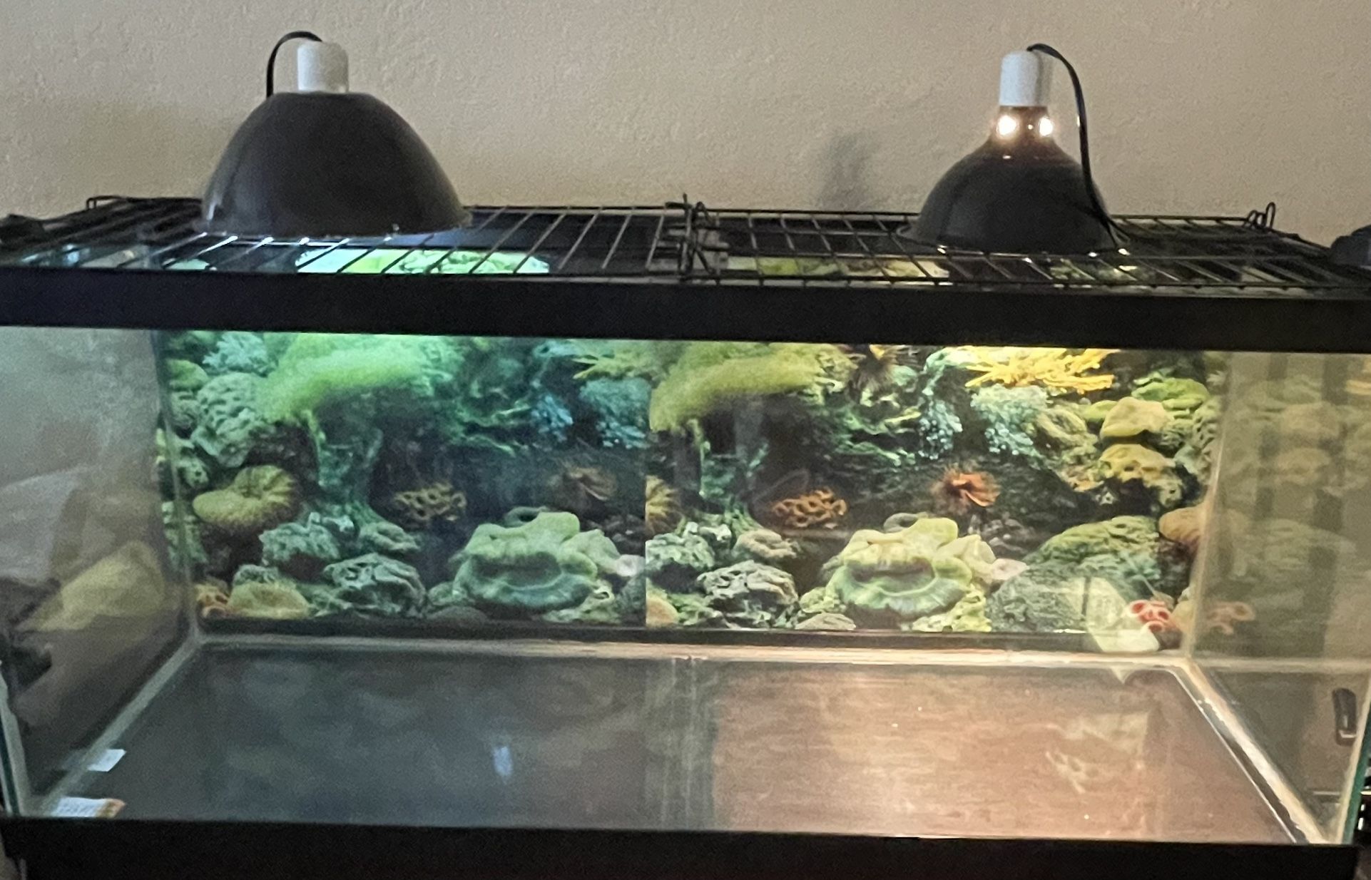 Tank 75 Gallons/ Lamps And Filter
