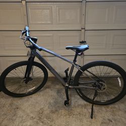 Trek Dual Sport 3 Gen 5 hybrid bike