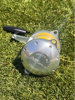 Avet Pro EX 30/2, Penn International 5 & Penn Custom Power Stick combo