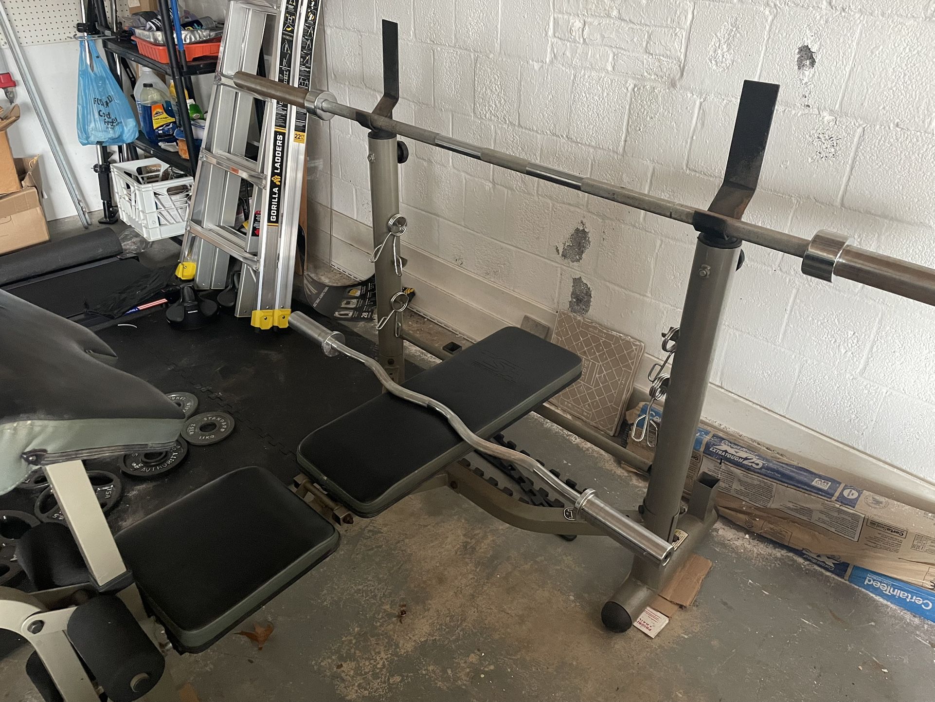 Olympic Bench, Bar And Curl Bar
