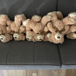 8 Bears 
