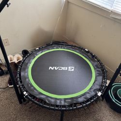 Rebounder/mini Exercise Trampoline 