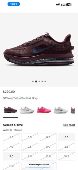 Nike Pegasus
