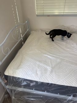 BED frame only