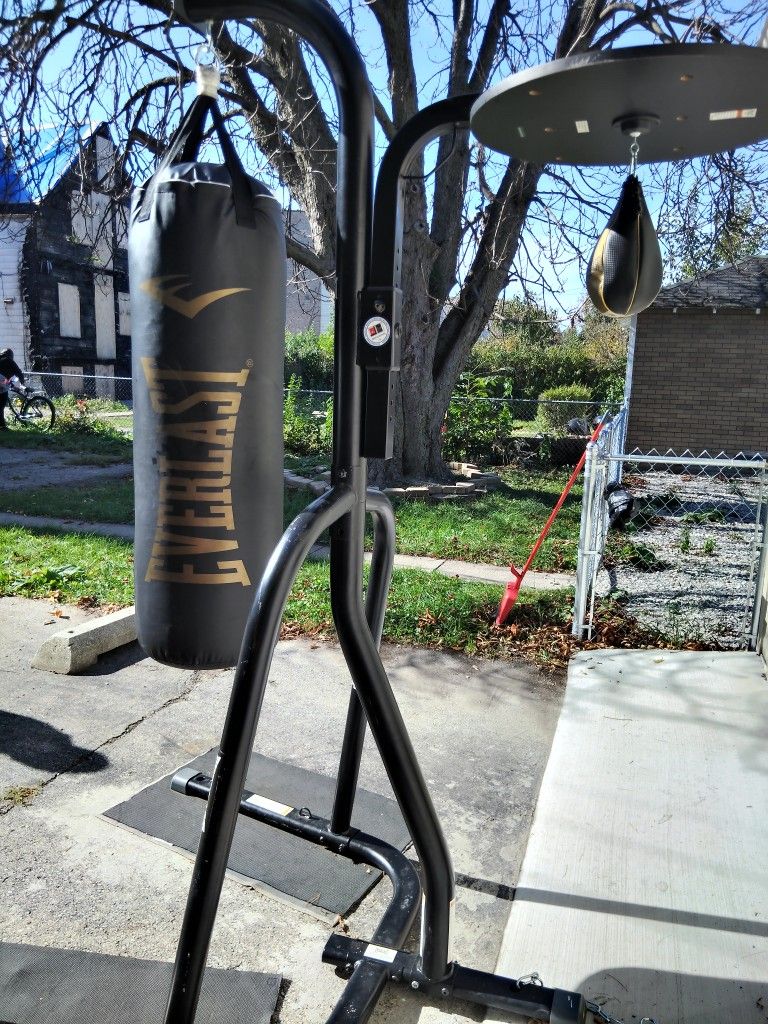 Everlast Dual Stand ( Heavy Bag & Speed Bag)