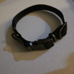 Reddy Dog Collar - Small Dog