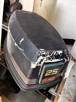 Evinrude 25hp 2 stroke