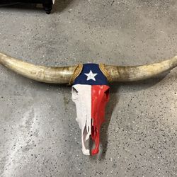 Longhorn Skull