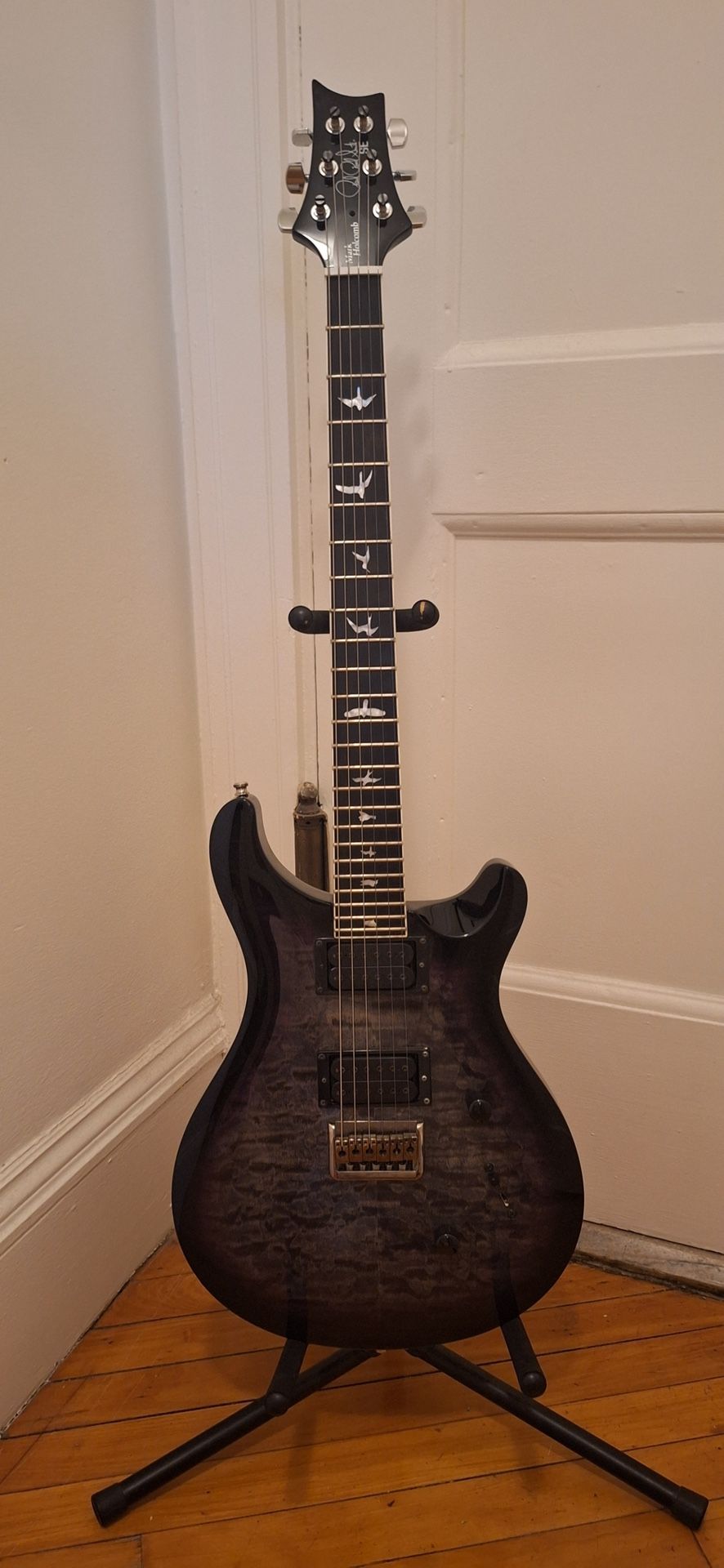 PRS Mark Holcomb 6 string (2018 Version With Alpha & Omega pickups)