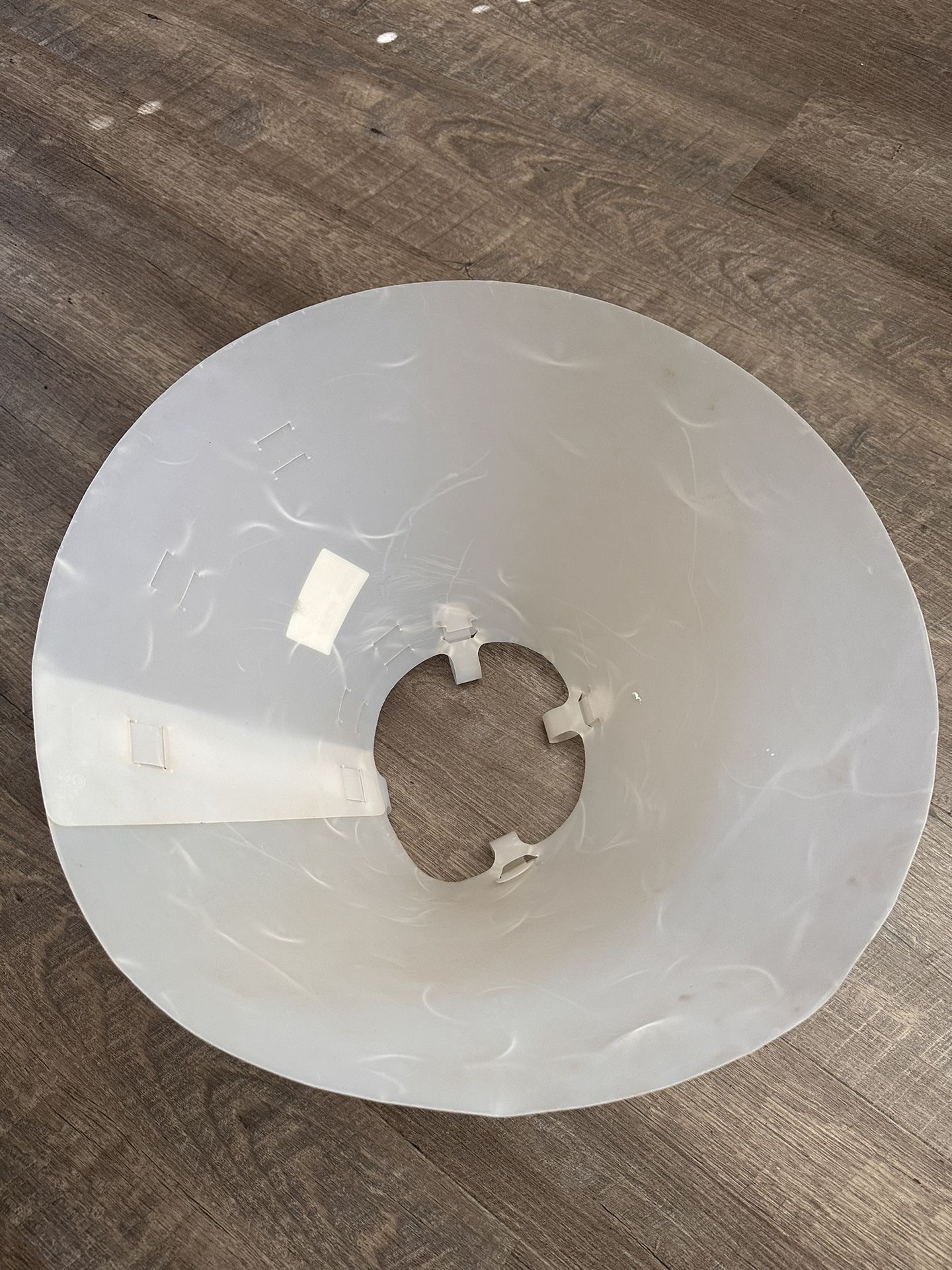 Dog Collar Recovery Cone