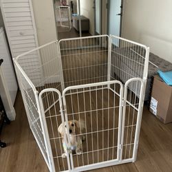 Dog Gate 