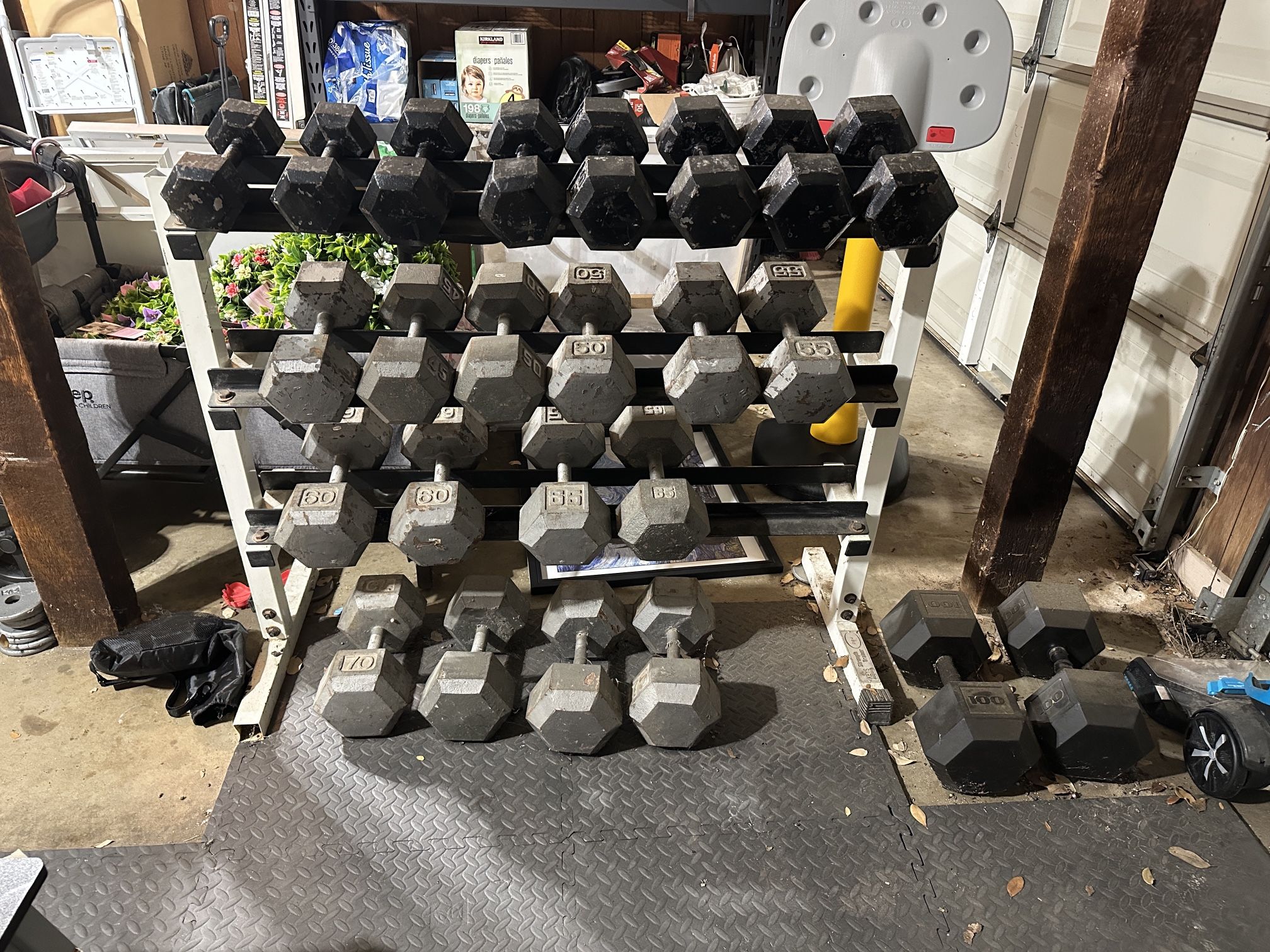 Dumbbell Set 20-75/100