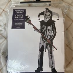 Menacing Jester Childs Costume