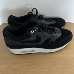 Nike Air Max 1 Premier Rebel Skull