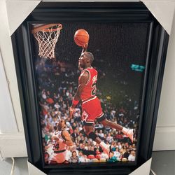 Authentic Jordan Wall Art 