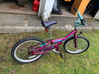 Girls TREK BIKE 20” mountain lion