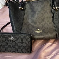 Coach Purse And Wallet New! 