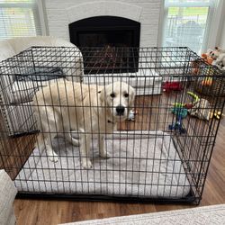 Large Dog Crate Like New $60