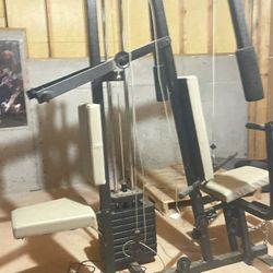 Weights  Home Gym 