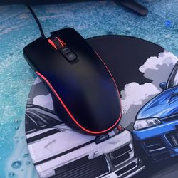 Mouse and keyboard duo