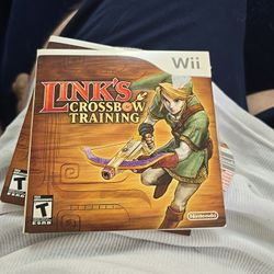 Link's Crossbow Training for Wii