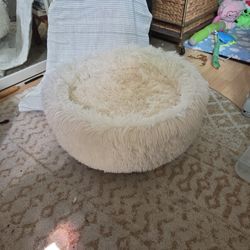 Cat Bed