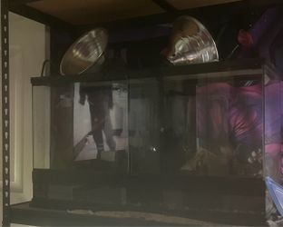 25 gallon front opening reptile tank