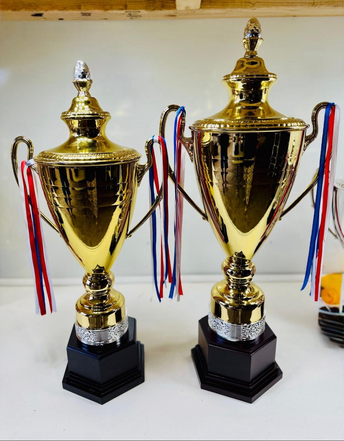 Sports Trophy