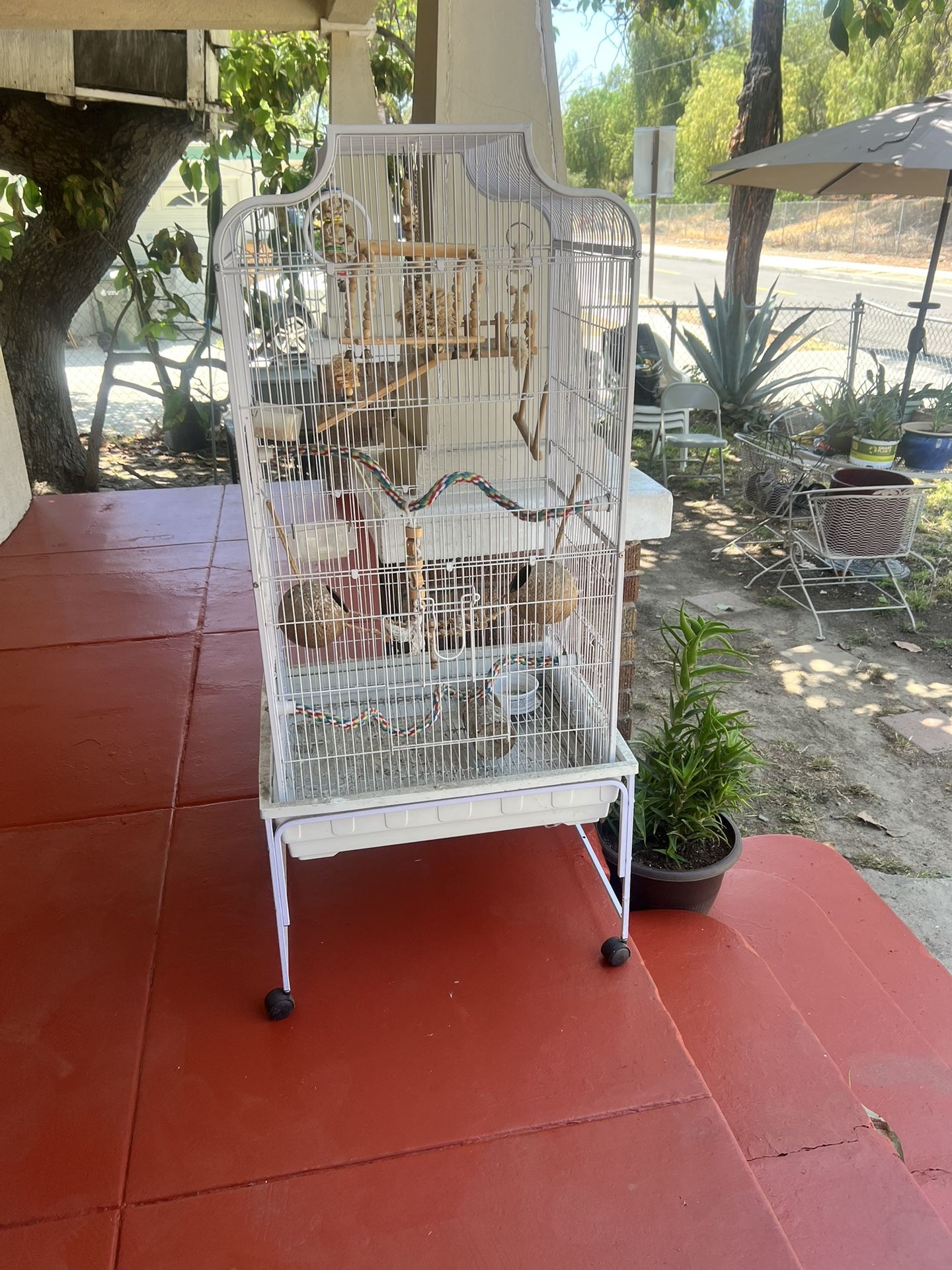 Bird Cage